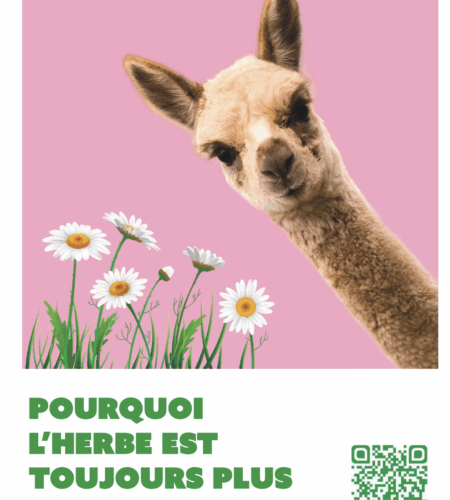 Coreadd – Le jeu des animaux: un outil ludique pour parler du tabac